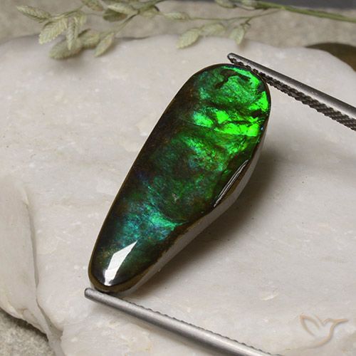 11.06ct Natürlicher Mehrfarbig Ammolith, Fantasie, Lichtundurchlässig