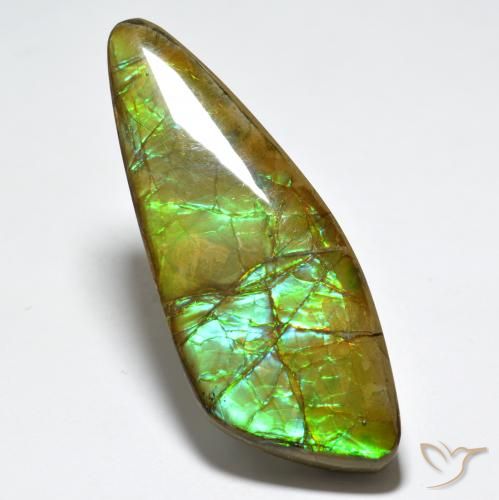 24.80ct Natürlicher Mehrfarbig Ammolith, Fantasie, Lichtundurchlässig