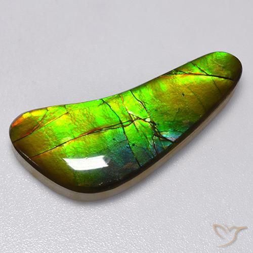 13.02ct Natürlicher Mehrfarbig Ammolith, Fantasie, Lichtundurchlässig