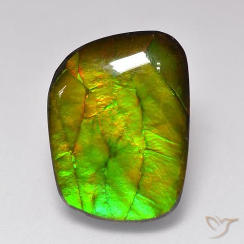 11.49ct Natürlicher Mehrfarbig Ammolith, Fantasie, Lichtundurchlässig