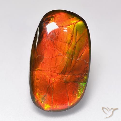 11.88ct Natürlicher Mehrfarbig Ammolith, Fantasie, Lichtundurchlässig