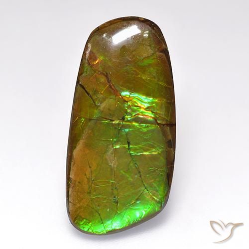 12.44ct Natürlicher Mehrfarbig Ammolith, Fantasie, Lichtundurchlässig