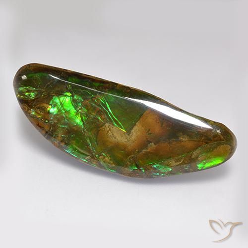 22.02ct Natürlicher Mehrfarbig Ammolith, Fantasie, Lichtundurchlässig