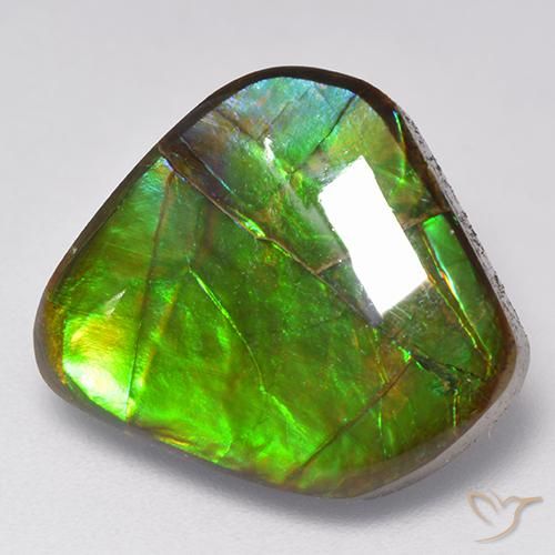 9.81ct Natürlicher Mehrfarbig Ammolith, Fantasie, Lichtundurchlässig