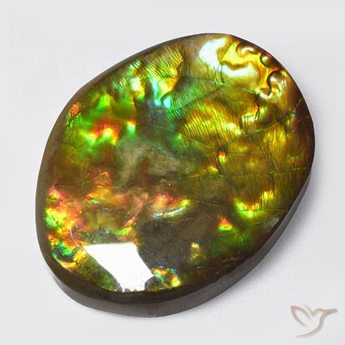 14.70ct Natürlicher Mehrfarbig Ammolith, Fantasie, Lichtundurchlässig