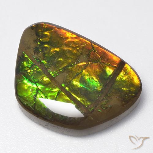 13.40ct Natürlicher Mehrfarbig Ammolith, Fantasie, Lichtundurchlässig