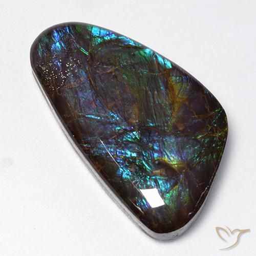 18.97ct Natürlicher Mehrfarbig Ammolith, Fantasie, Lichtundurchlässig