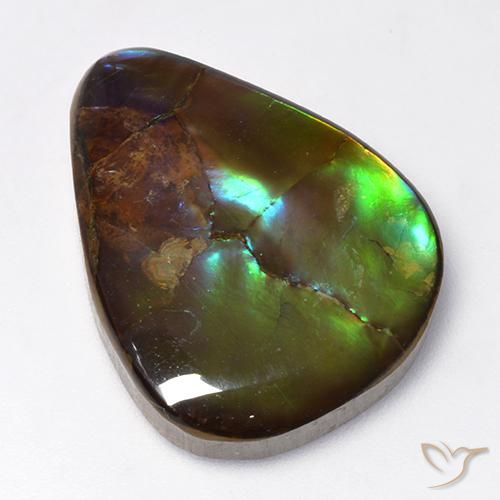 16.73ct Natürlicher Mehrfarbig Ammolith, Birnenform, Lichtundurchlässig