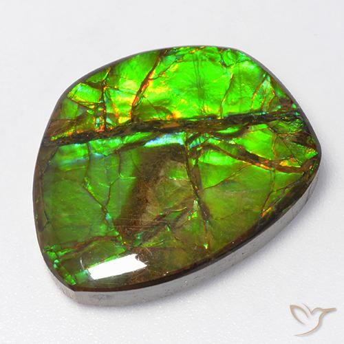15.50ct Natürlicher Mehrfarbig Ammolith, Fantasie, Lichtundurchlässig