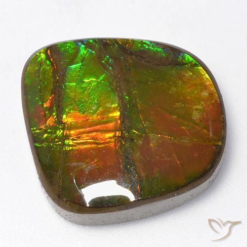 13.06ct Natürlicher Mehrfarbig Ammolith, Fantasie, Lichtundurchlässig