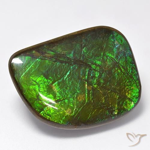 19.75ct Natürlicher Mehrfarbig Ammolith, Fantasie, Lichtundurchlässig