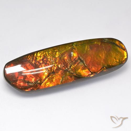 18.52ct Natürlicher Mehrfarbig Ammolith, Fantasie, Lichtundurchlässig