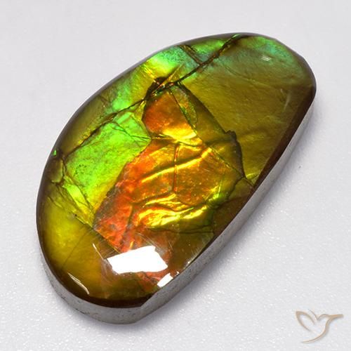 13.86ct Natürlicher Mehrfarbig Ammolith, Fantasie, Lichtundurchlässig