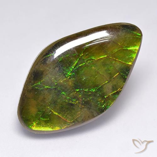 14.12ct Natürlicher Mehrfarbig Ammolith, Fantasie, Lichtundurchlässig