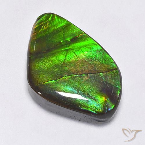 22.30ct Natürlicher Mehrfarbig Ammolith, Fantasie, Lichtundurchlässig