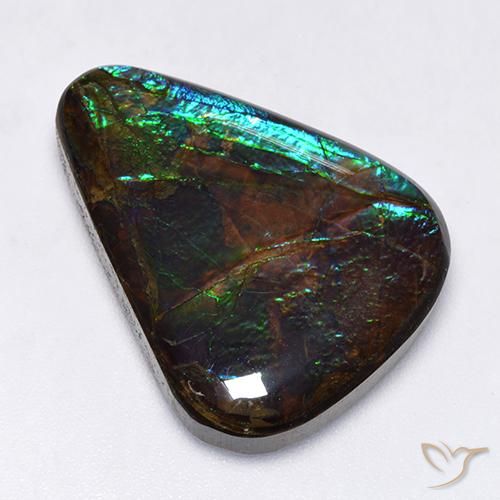17.25ct Natürlicher Mehrfarbig Ammolith, Fantasie, Lichtundurchlässig