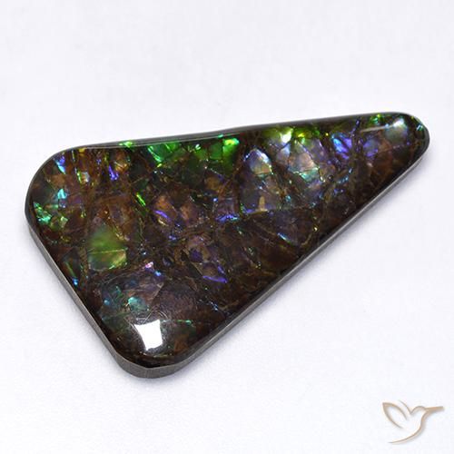 17.65ct Natürlicher Mehrfarbig Ammolith, Fantasie, Lichtundurchlässig