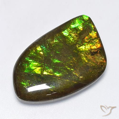 18.89ct Natürlicher Mehrfarbig Ammolith, Fantasie, Lichtundurchlässig