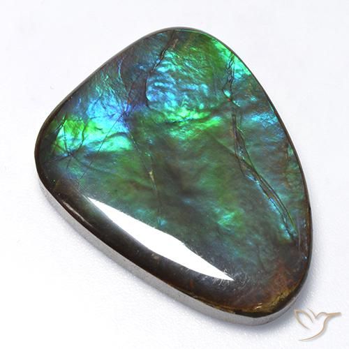 25.47ct Natürlicher Mehrfarbig Ammolith, Fantasie, Lichtundurchlässig