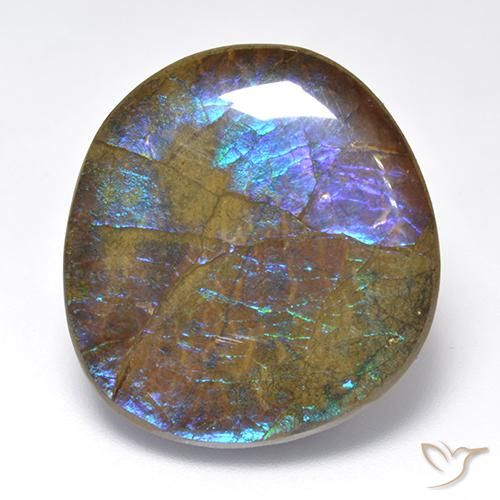 23.02ct Natürlicher Mehrfarbig Ammolith, Fantasie, Lichtundurchlässig