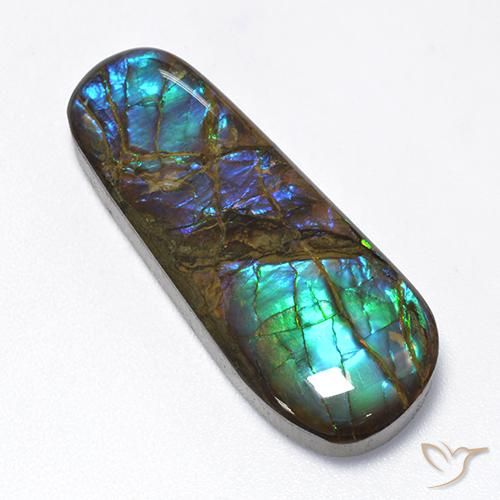 16.62ct Natürlicher Mehrfarbig Ammolith, Fantasie, Lichtundurchlässig