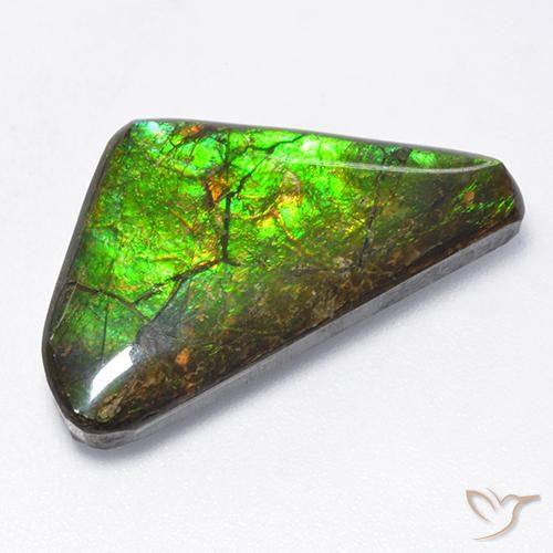 10.43ct Natürlicher Mehrfarbig Ammolith, Fantasie, Lichtundurchlässig