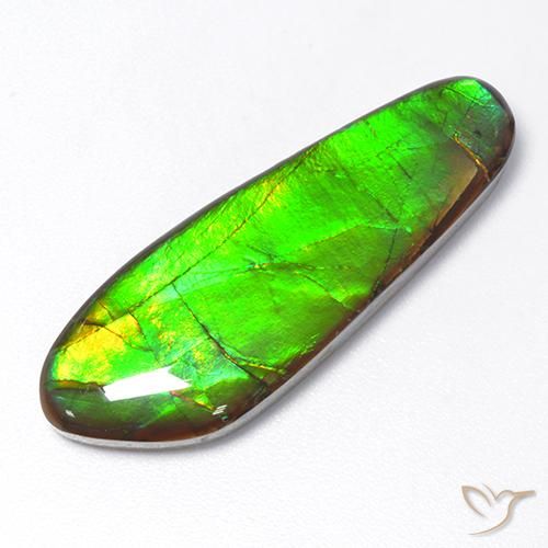 17.48ct Natürlicher Mehrfarbig Ammolith, Fantasie, Lichtundurchlässig