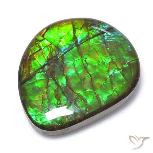18.62ct Natürlicher Mehrfarbig Ammolith, Fantasie, Lichtundurchlässig