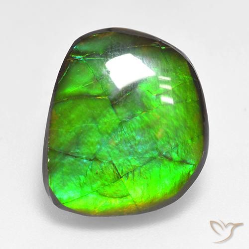 10.59ct Natürlicher Mehrfarbig Ammolith, Fantasie, Lichtundurchlässig
