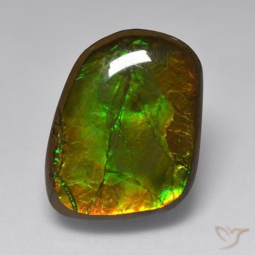 10.83ct Natürlicher Mehrfarbig Ammolith, Fantasie, Lichtundurchlässig