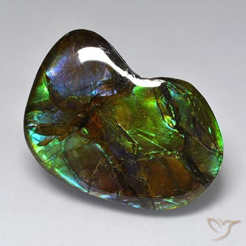 23.10ct Natürlicher Mehrfarbig Ammolith, Fantasie, Lichtundurchlässig