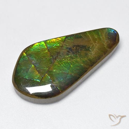 15.47ct Natürlicher Mehrfarbig Ammolith, Fantasie, Lichtundurchlässig