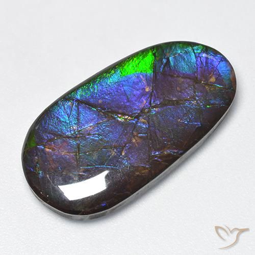 16.63ct Natürlicher Mehrfarbig Ammolith, Fantasie, Lichtundurchlässig
