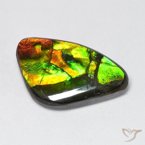 11.50ct Natürlicher Mehrfarbig Ammolith, Fantasie, Lichtundurchlässig