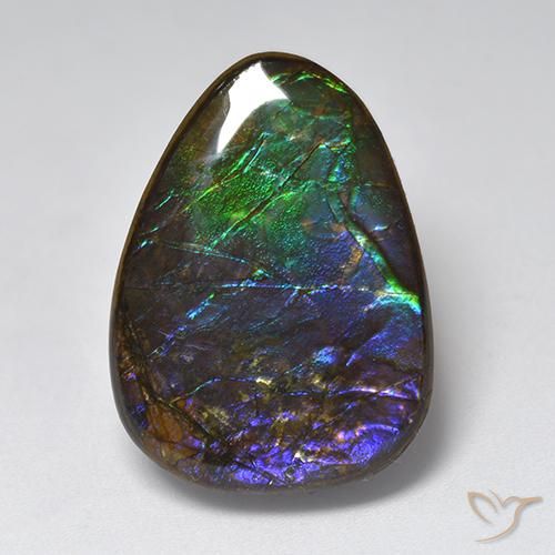 17.96ct Natürlicher Mehrfarbig Ammolith, Fantasie, Lichtundurchlässig