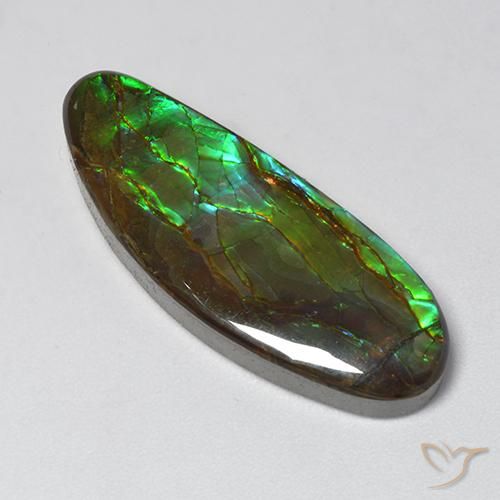 18.94ct Natürlicher Mehrfarbig Ammolith, Fantasie, Lichtundurchlässig