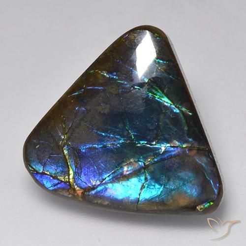 15.09ct Natürlicher Mehrfarbig Ammolith, Fantasie, Lichtundurchlässig