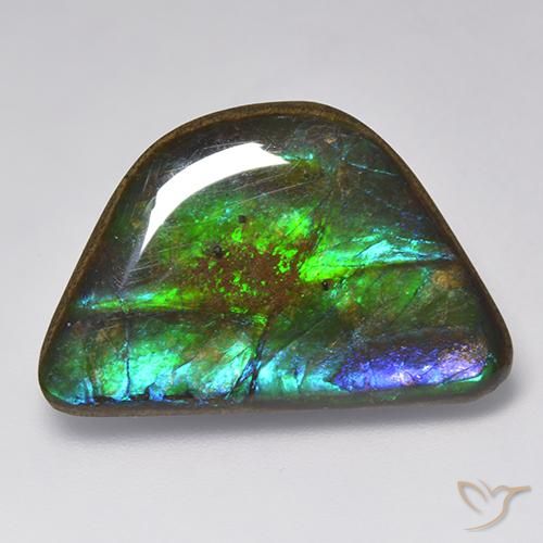 15.86ct Natürlicher Mehrfarbig Ammolith, Fantasie, Lichtundurchlässig