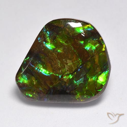 15.50ct Natürlicher Mehrfarbig Ammolith, Fantasie, Lichtundurchlässig