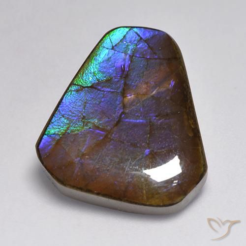 13.95ct Natürlicher Mehrfarbig Ammolith, Fantasie, Lichtundurchlässig