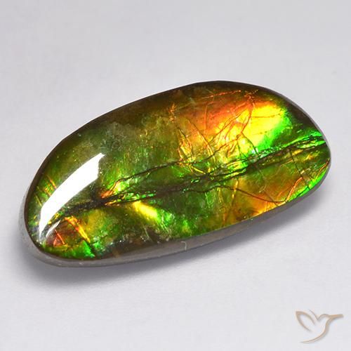 11.62ct Natürlicher Mehrfarbig Ammolith, Fantasie, Lichtundurchlässig