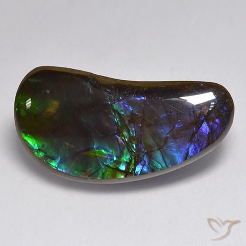 14.55ct Natürlicher Mehrfarbig Ammolith, Fantasie, Lichtundurchlässig