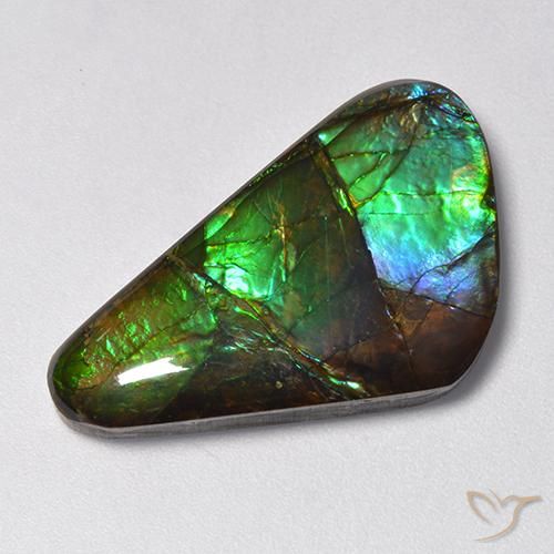 13.85ct Natürlicher Mehrfarbig Ammolith, Fantasie, Lichtundurchlässig