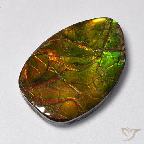 11.13ct Natürlicher Mehrfarbig Ammolith, Fantasie, Lichtundurchlässig