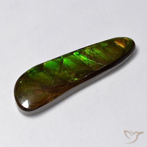 14.88ct Natürlicher Mehrfarbig Ammolith, Fantasie, Lichtundurchlässig