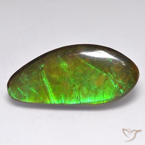 15.77ct Natürlicher Mehrfarbig Ammolith, Fantasie, Lichtundurchlässig