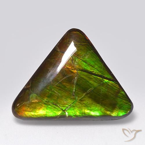14.54ct Natürlicher Mehrfarbig Ammolith, Trillion, Lichtundurchlässig