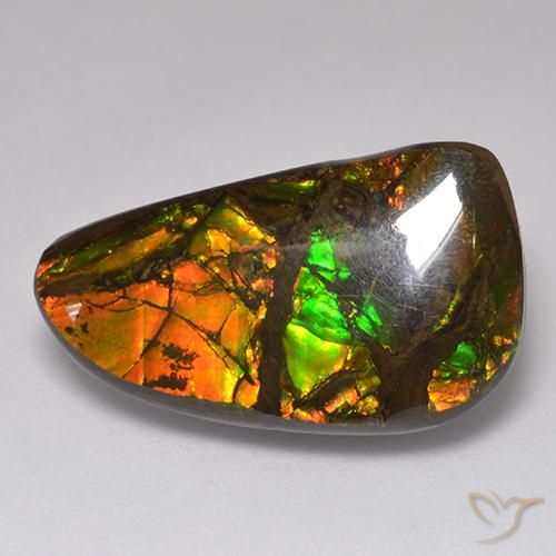13.48ct Natürlicher Mehrfarbig Ammolith, Fantasie, Lichtundurchlässig