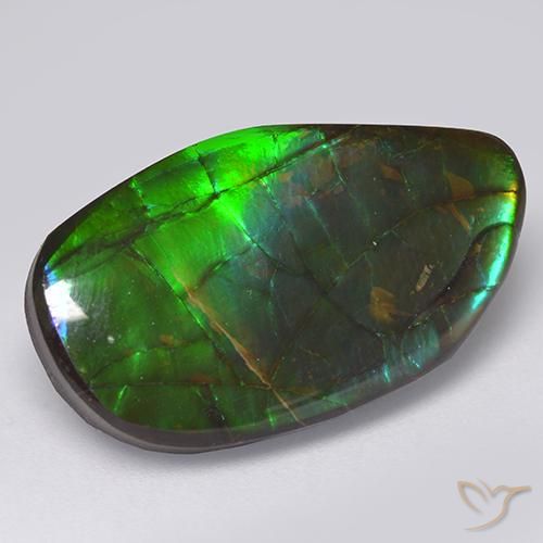 13.66ct Natürlicher Mehrfarbig Ammolith, Fantasie, Lichtundurchlässig
