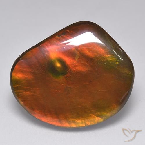 21.29ct Natürlicher Mehrfarbig Ammolith, Fantasie, Lichtundurchlässig